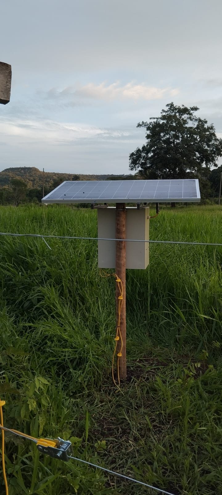 Cerca elétrica rural com painel solar